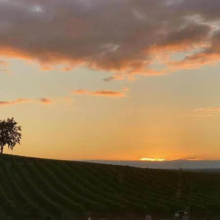 Beautiful In The Dordogne * Bergerac
