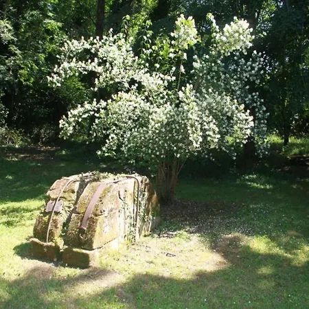 Beautiful In The Dordogne